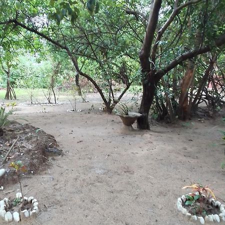 Little Baobab Bed & Breakfast Abémé Exterior photo