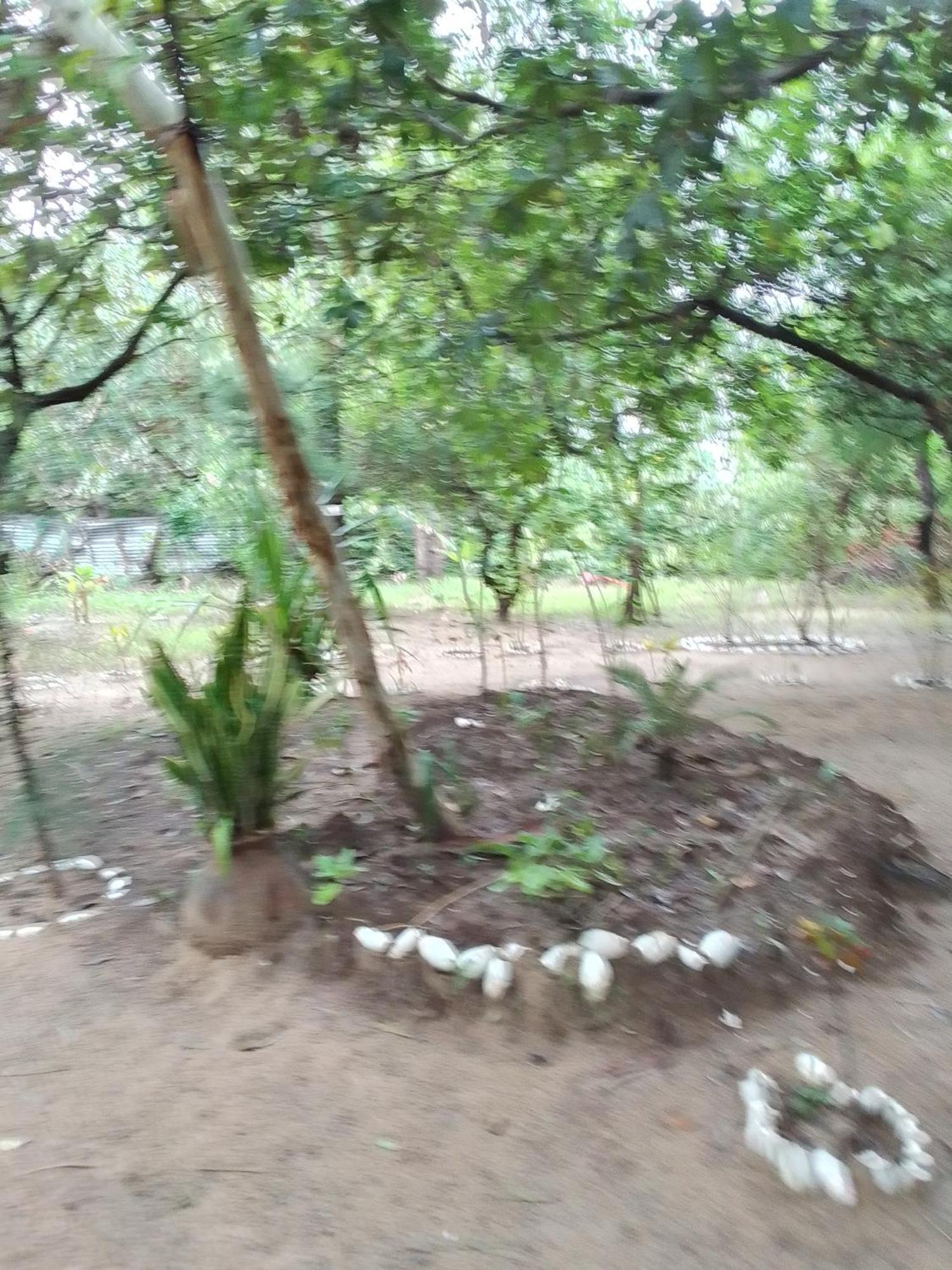 Little Baobab Bed & Breakfast Abémé Exterior photo
