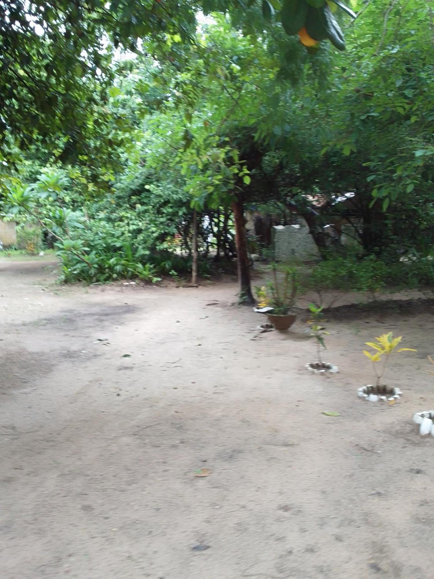 Little Baobab Bed & Breakfast Abémé Exterior photo